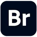 Adobe Bridge 2026